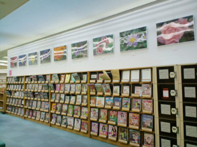 広島市立中区図書館にて創造表現コース生徒作品を展示しました