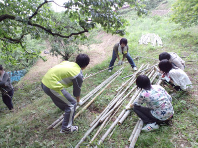 竹を取りに行きました