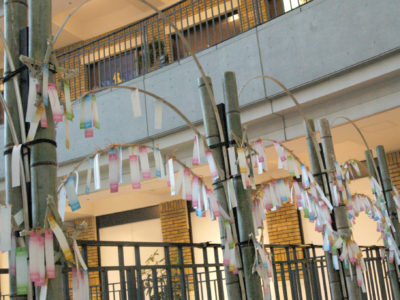 パセーラ七夕ディスレイの様子