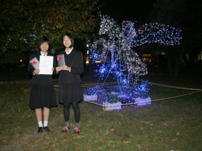 「ひろしまドリミネーション2008」本日開幕です