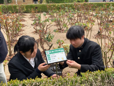 「平和の寄付樹木の説明板設置」について中国新聞 朝刊で紹介していただきました